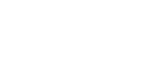 Logo SPIRALEO - Céline PINEAU